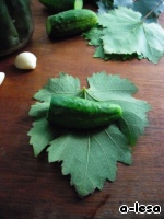 Рецепт огурцы в виноградных листьях