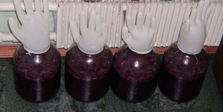Виноградное вино приготовление в домашних условиях. Как самостоятельно в домашних условиях приготовить виноградное вино?