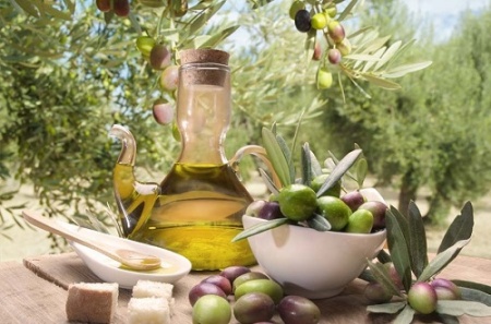 Оливковое масло – жидкое золото земли