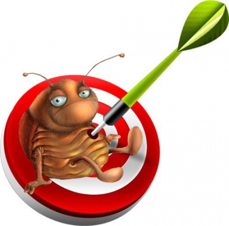 Дезинсекция от тараканов - как эффективный метод борьбы с насекомыми