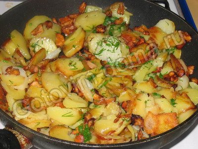  лазанья с фаршем картошкой и грибами