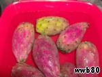 Рецепт варенье из плодов кактуса опунции